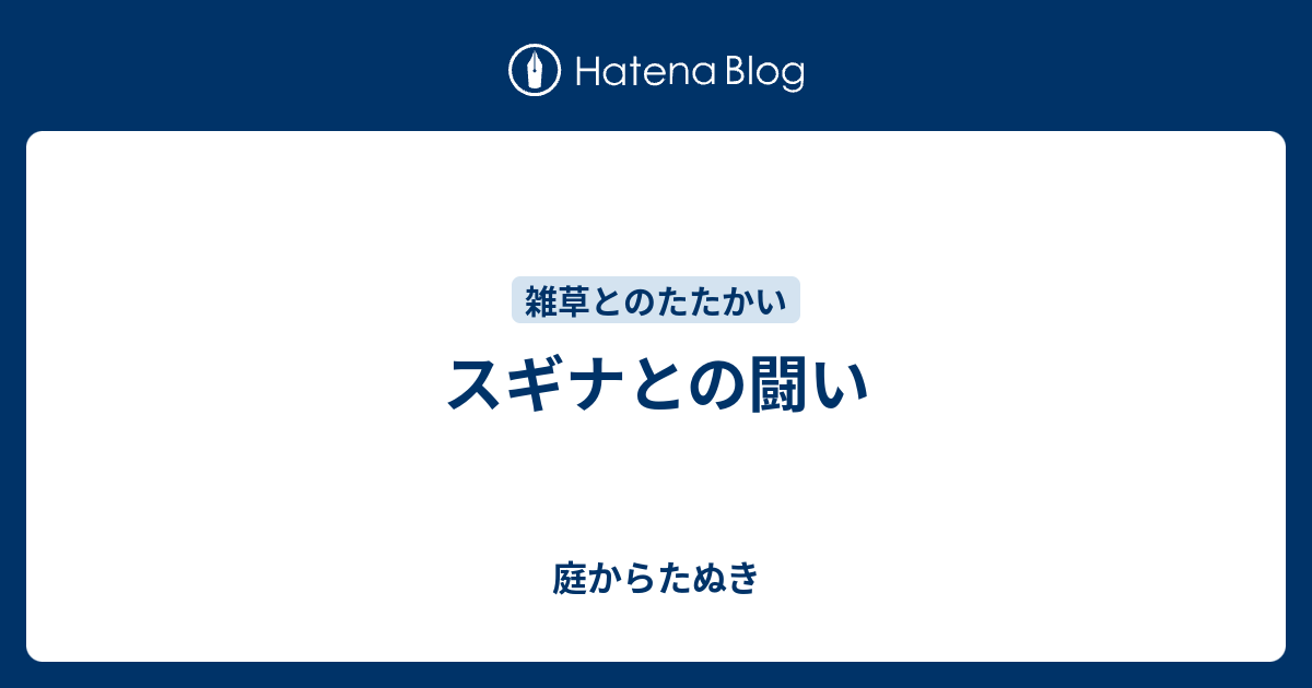 スギナとの闘い 庭からたぬき