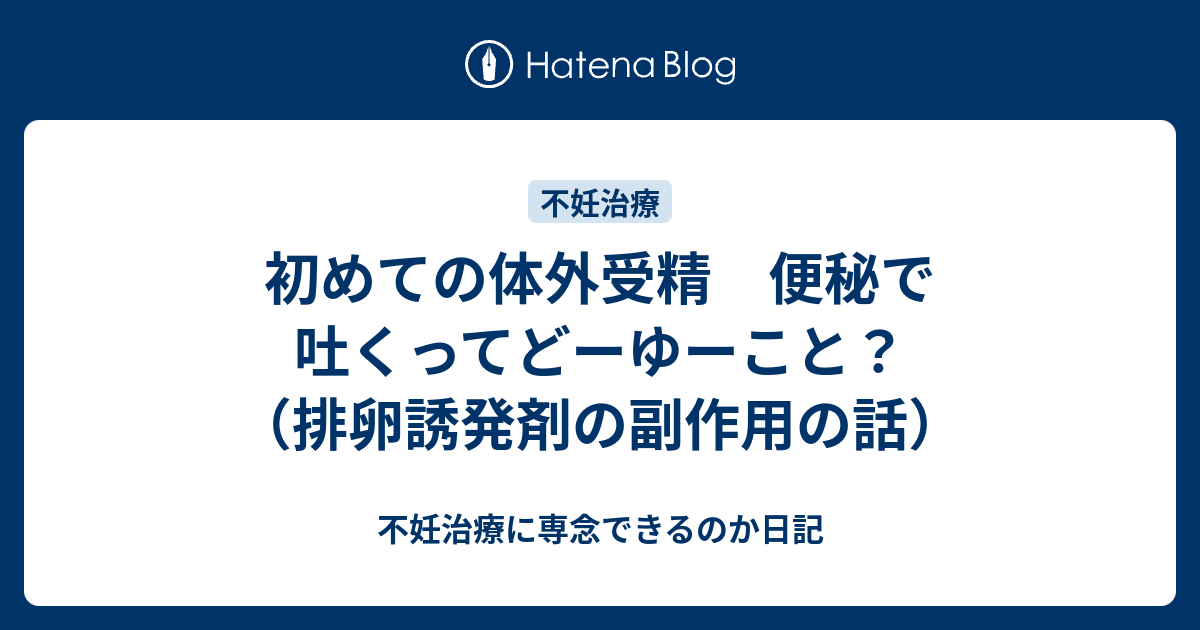 初めての体外受精 便秘で吐くってどーゆーこと 排卵誘発剤の副作用の話 不妊治療に専念できるのか日記