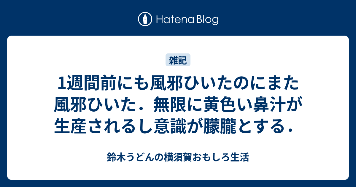 鈴木うどんの横須賀おもしろ生活