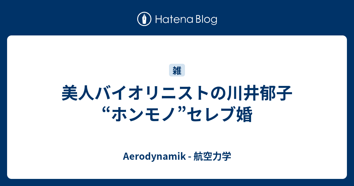 美人バイオリニストの川井郁子 ホンモノ セレブ婚 Aerodynamik 航空力学