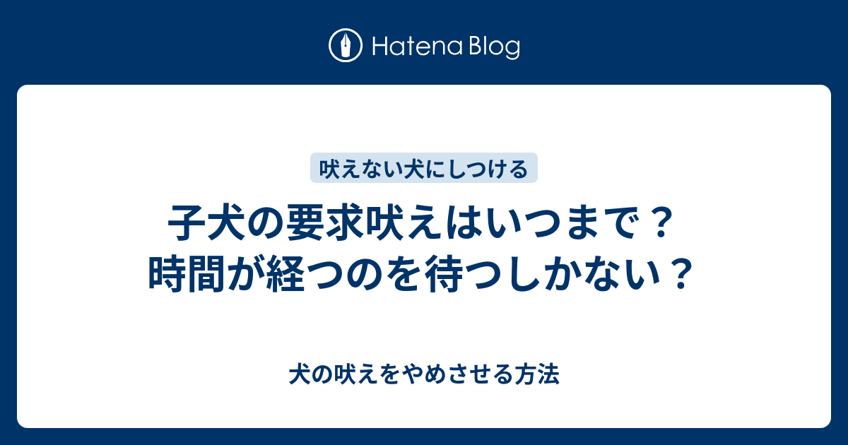 子犬の要求吠えはいつまで 時間が経つのを待つしかない 犬の吠えをやめさせる方法