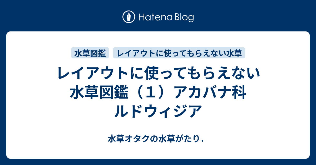 レイアウトに使ってもらえない水草図鑑 １ アカバナ科 ルドウィジア 水草オタクの水草がたり