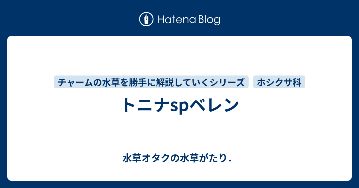 トニナspベレン - 水草オタクの水草がたり．