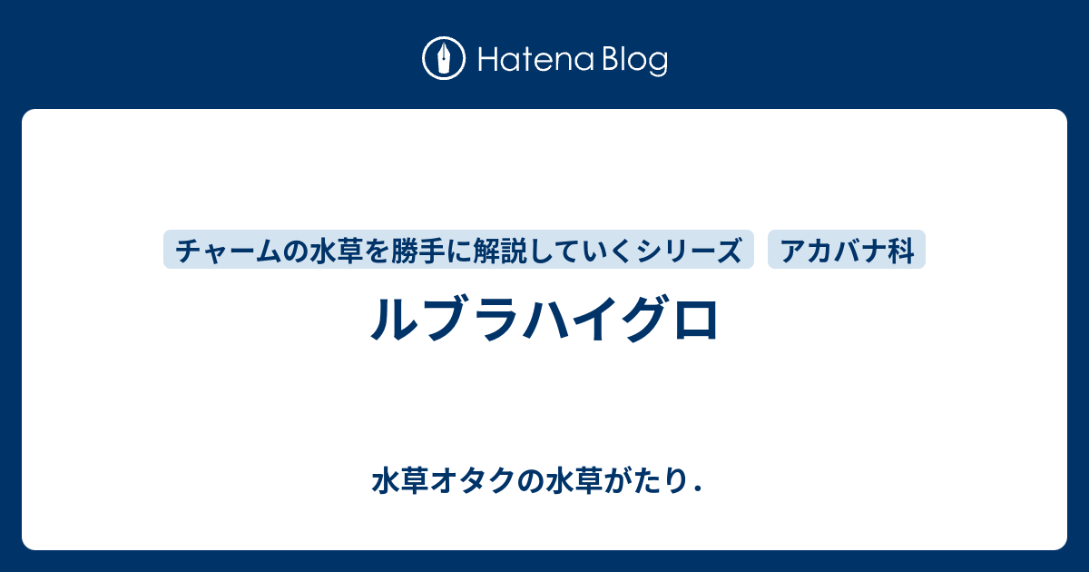 ルブラハイグロ - 水草オタクの水草がたり．