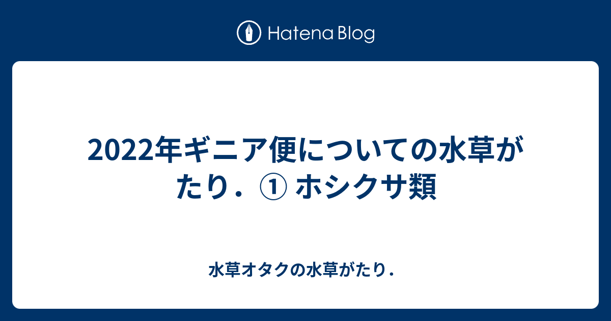 2022年ギニア便についての水草がたり．① ホシクサ類 - 水草オタクの