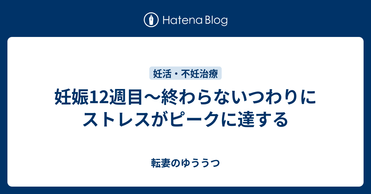 妊娠12週目～終わらないつわりにストレスがピークに達する 転妻のゆううつ