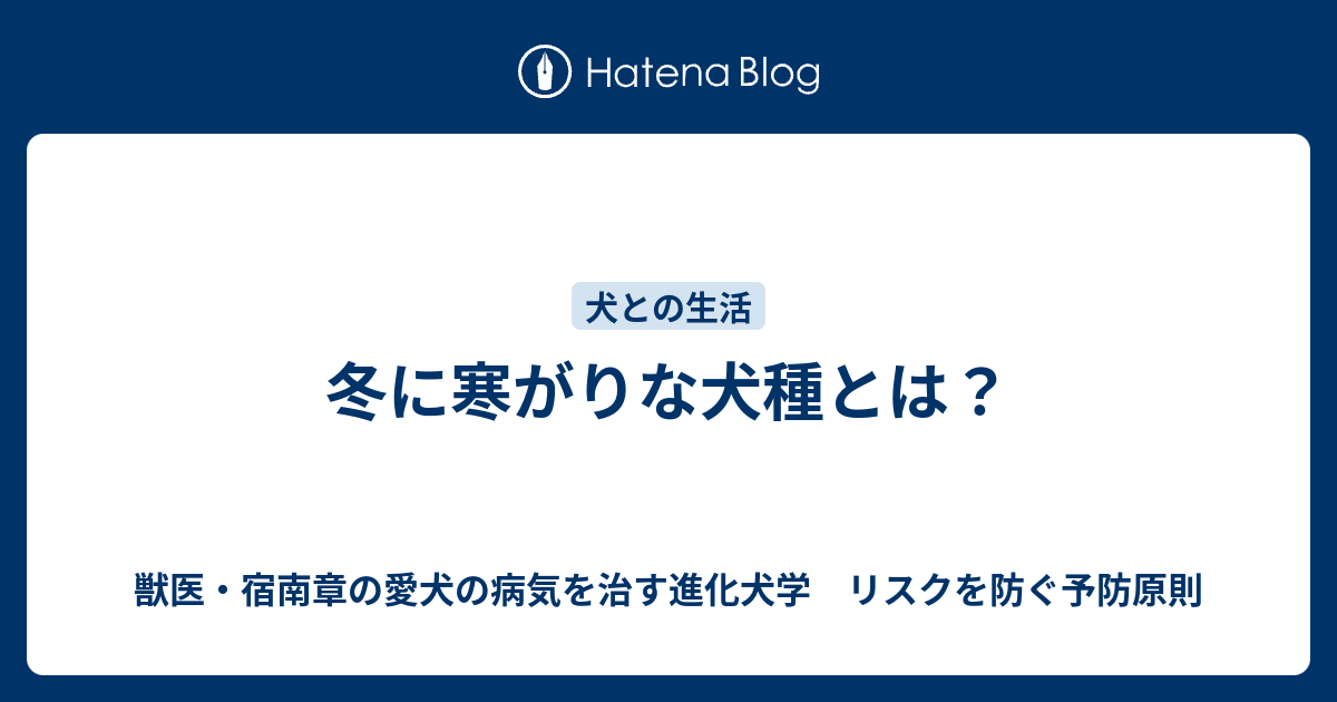 冬に寒がりな犬種とは 獣医 宿南章の愛犬の病気を治す進化犬学 リスクを防ぐ予防原則