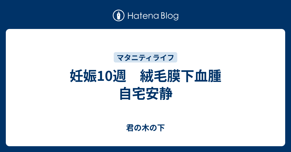妊娠10週 絨毛膜下血腫 自宅安静 君の木の下
