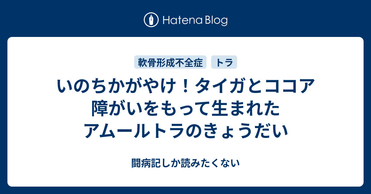 いのちかがやけ！タイガとココア 障がいをもって生まれた