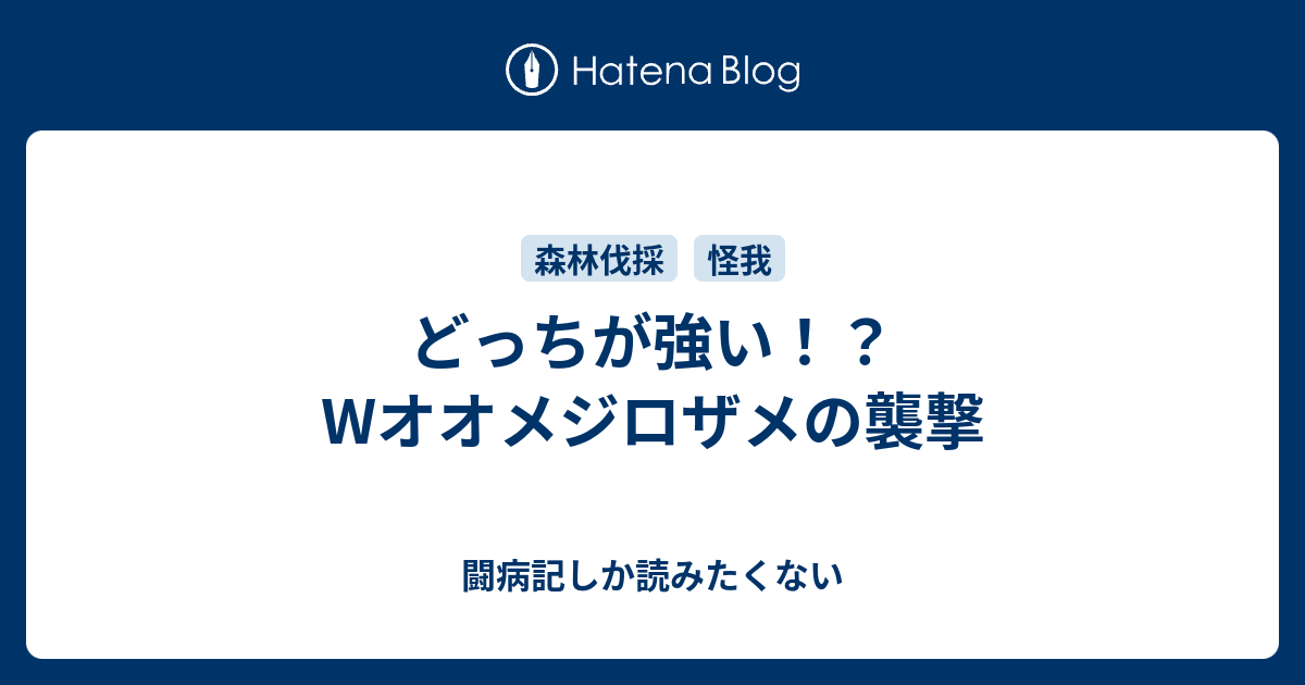 どっちが強い！？ Wオオメジロザメの襲撃 闘病記しか読みたくない