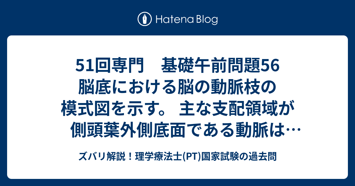 51回専門 基礎午前問題56 脳底における脳の動脈枝の模式図を示す 主な支配領域が側頭葉外側底面である動脈はどれか ズバリ解説 理学療法士 Pt 国家試験の過去問