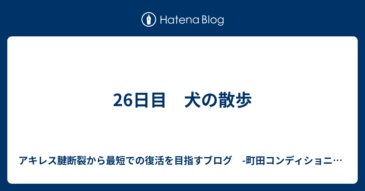 26日目 犬の散歩 アキレス腱断裂から最短での復活を目指すブログ 町田コンディショニングジム健介 代表
