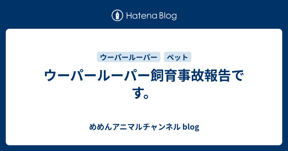 ウーパールーパー飼育事故報告です めめんアニマルチャンネル Blog