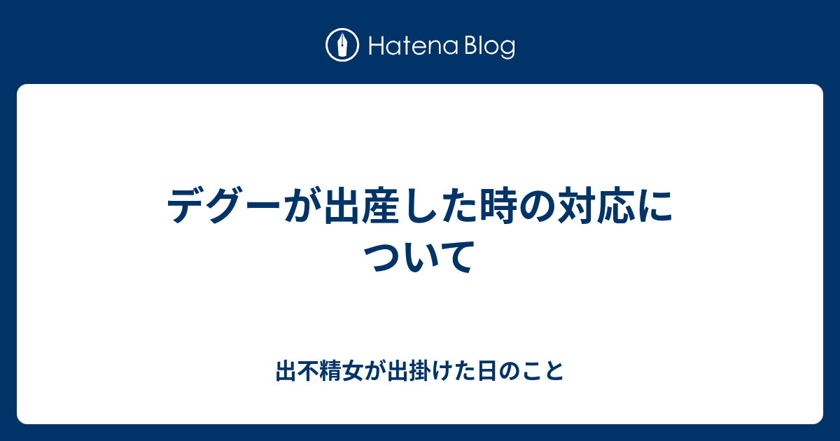 デグーが出産した時の対応について 出不精女が出掛けた日のこと