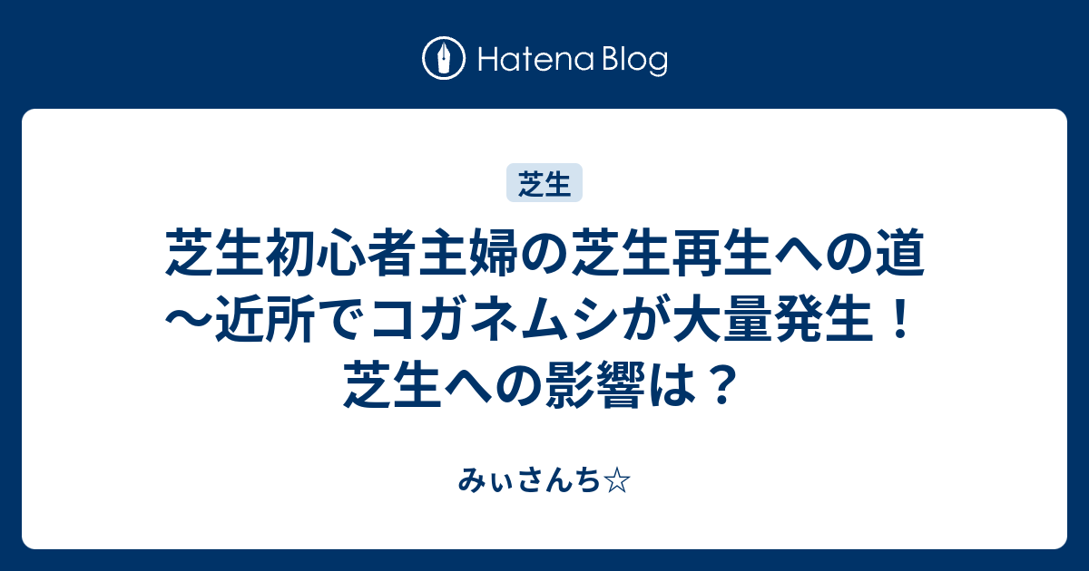 芝生初心者主婦の芝生再生への道 近所でコガネムシが大量発生 芝生への影響は みぃさんち