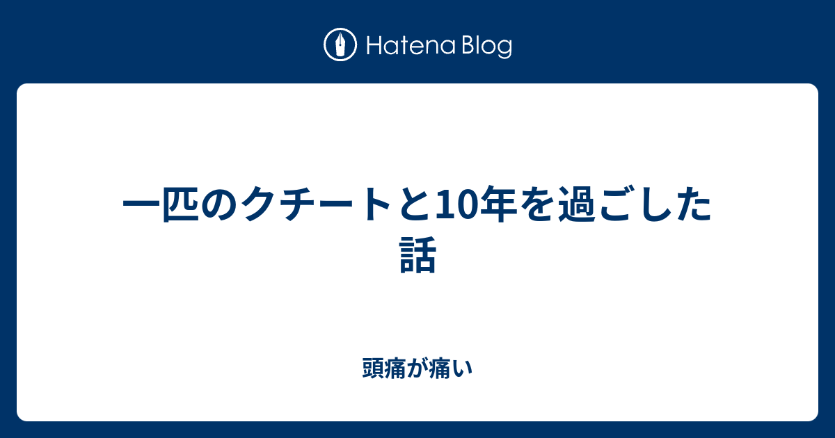 一匹のクチートと10年を過ごした話 頭痛が痛い