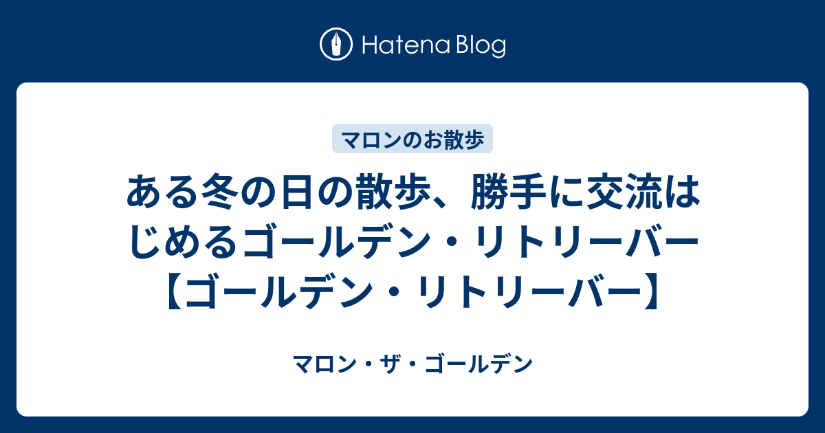 ある冬の日の散歩 勝手に交流はじめるゴールデン リトリーバー ゴールデン リトリーバー マロン ザ ゴールデン