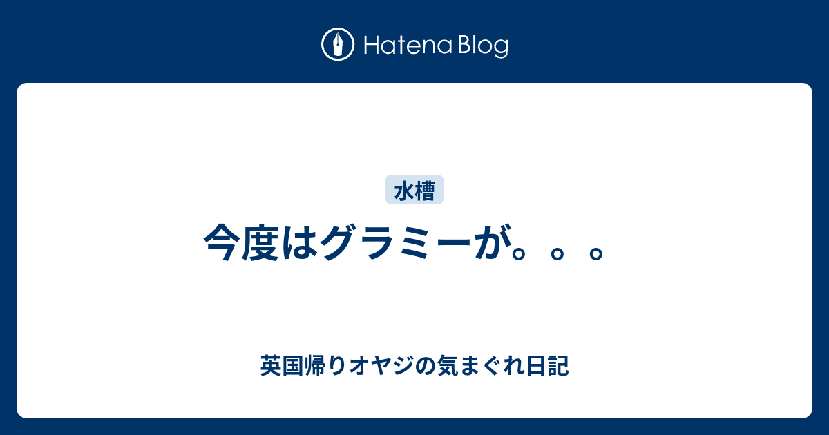 今度はグラミーが 英国帰りオヤジの気まぐれ日記