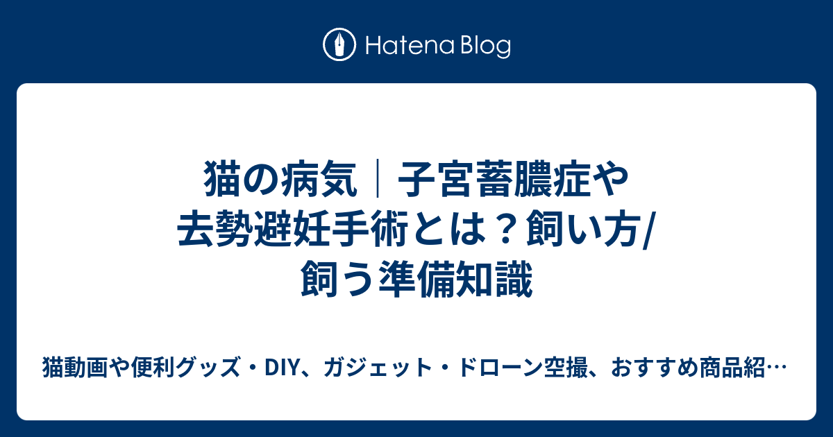 猫の病気｜子宮蓄膿症や去勢避妊手術とは？飼い方/飼う準備知識 - 猫 