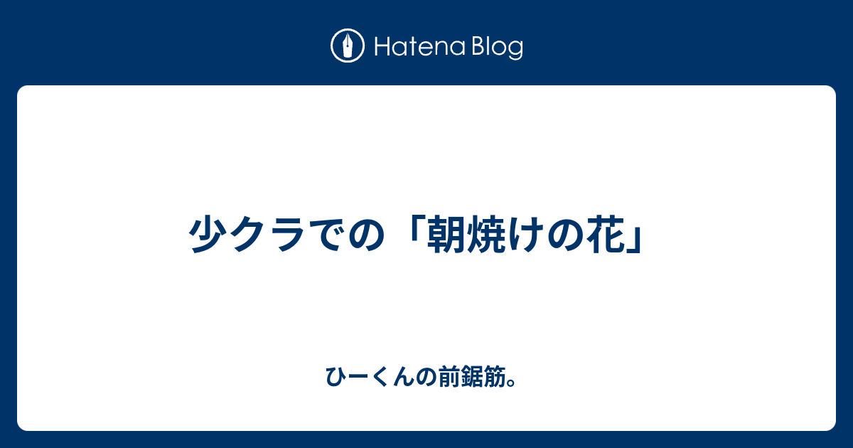 少クラでの 朝焼けの花 ひーくんの前鋸筋