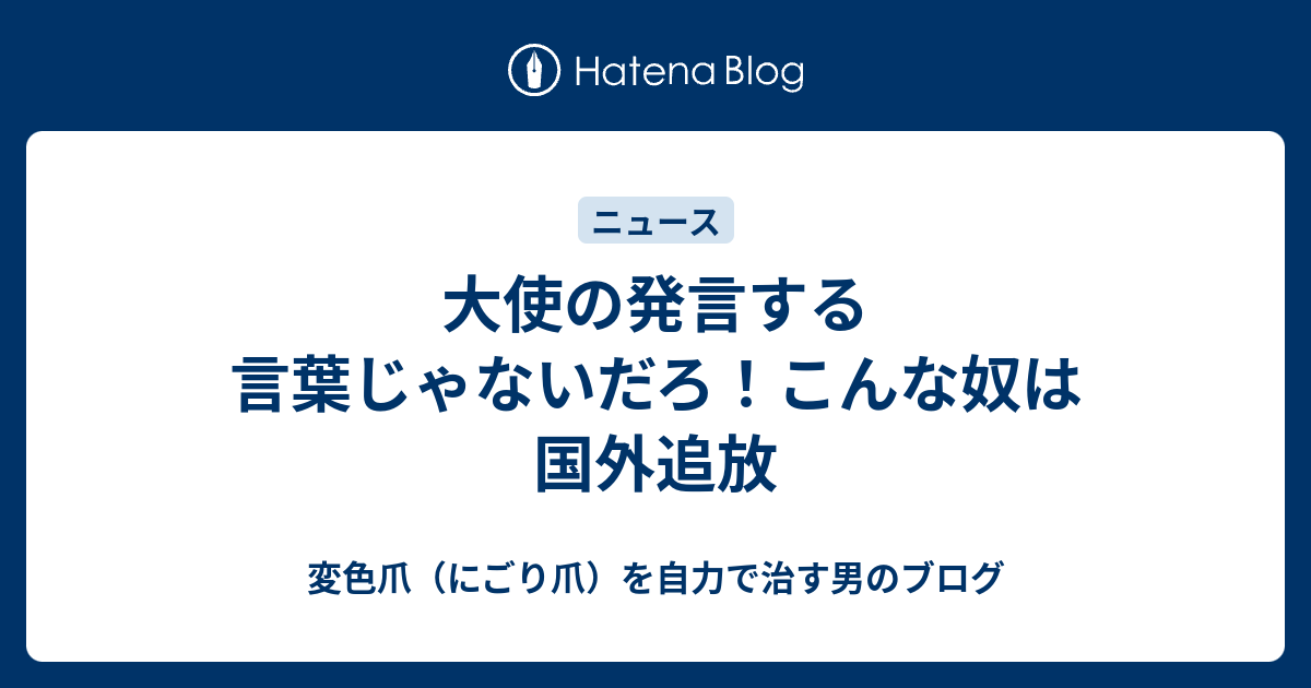 大使の発言する言葉じゃないだろ！こんな奴は国外追放 - 変色爪（にごり爪）を自力で治す男のブログ