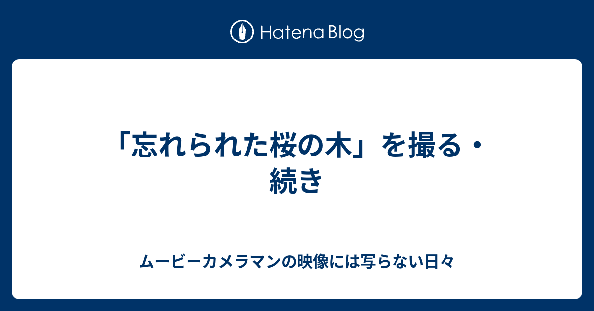 忘れられた桜の木 を撮る 続き ムービーカメラマンの映像には写らない日々