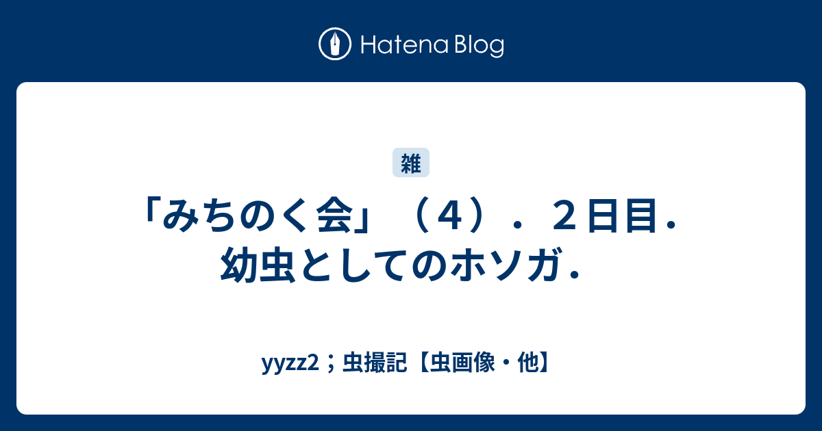 みちのく会 ４ ２日目 幼虫としてのホソガ Yyzz2 虫撮記 虫画像 他