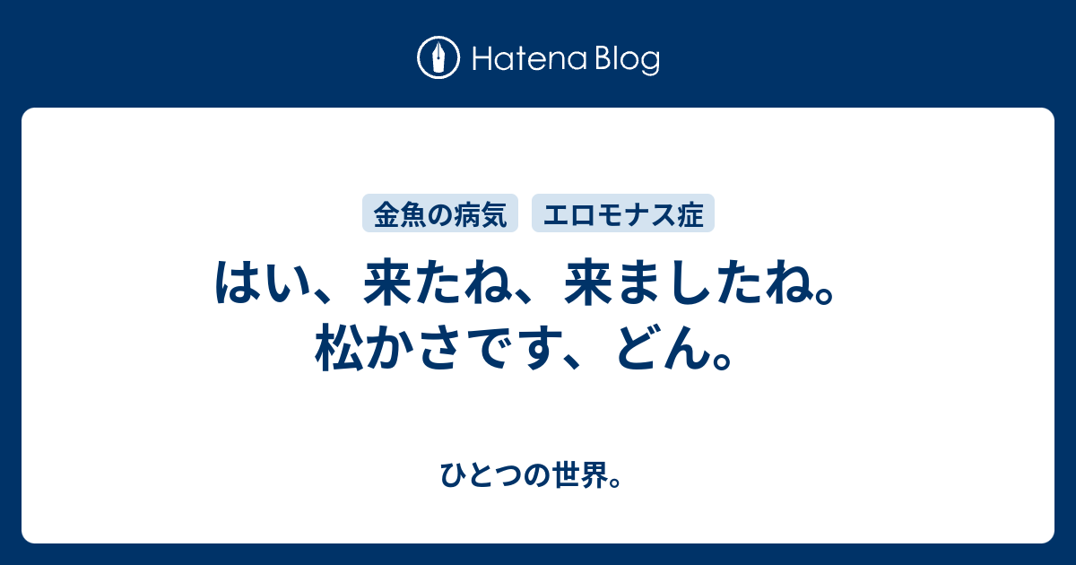 はい 来たね 来ましたね 松かさです どん ひとつの世界