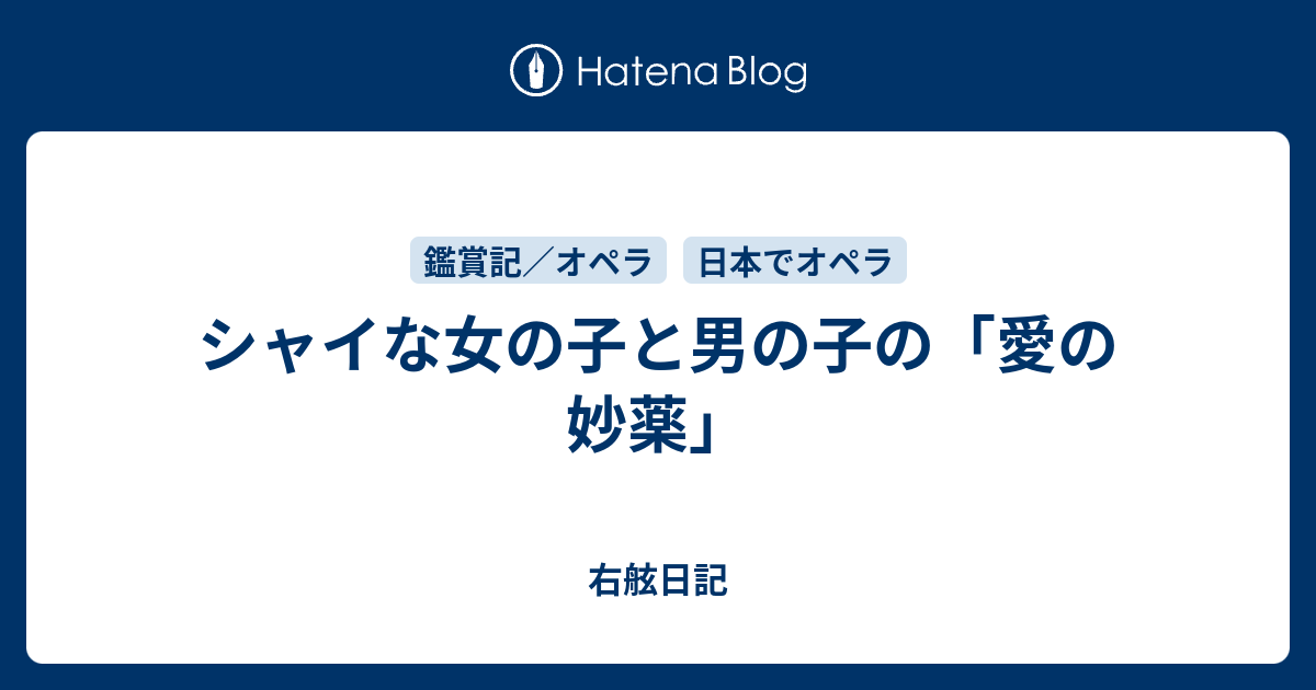 シャイな女の子と男の子の 愛の妙薬 右舷日記