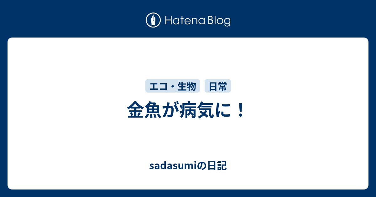 金魚が病気に Sadasumiの日記