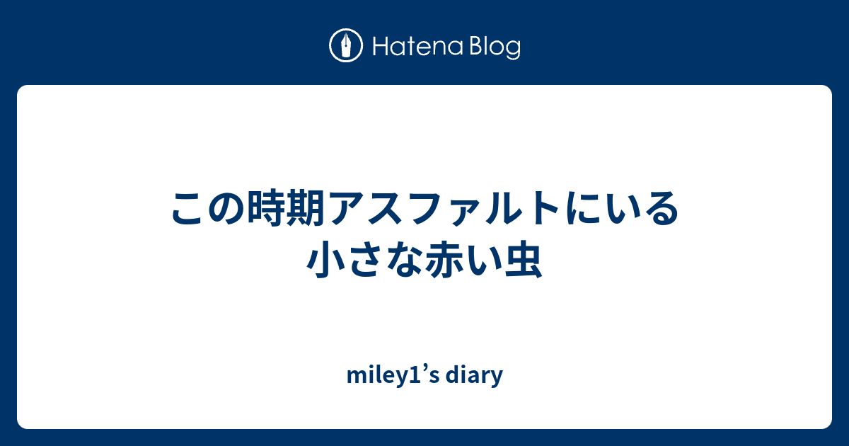 この時期アスファルトにいる小さな赤い虫 Miley1 S Diary