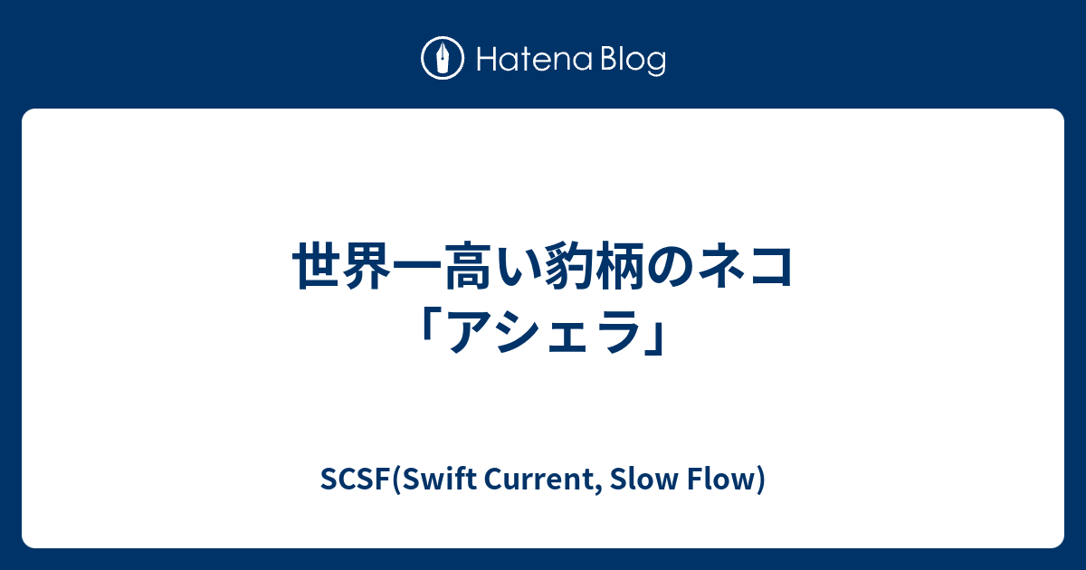 世界一高い豹柄のネコ アシェラ Scsf Swift Current Slow Flow