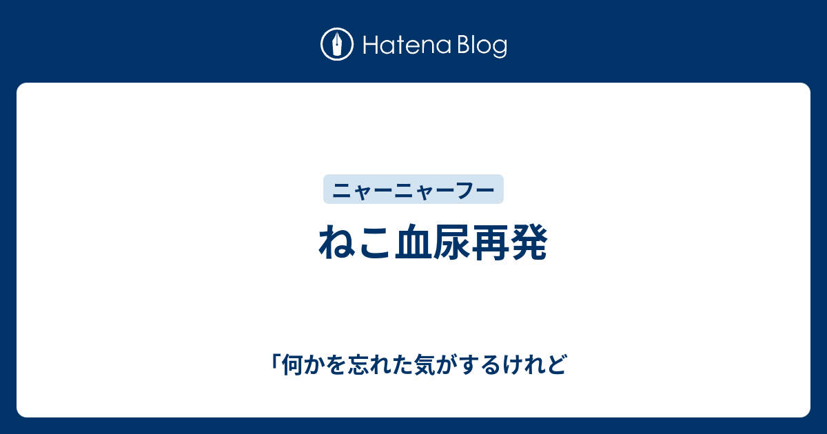 ねこ血尿再発 - 「何かを忘れた気がするけれど