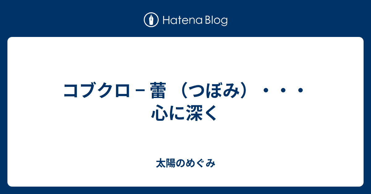 コブクロ 蕾 つぼみ 心に深く 太陽のめぐみ