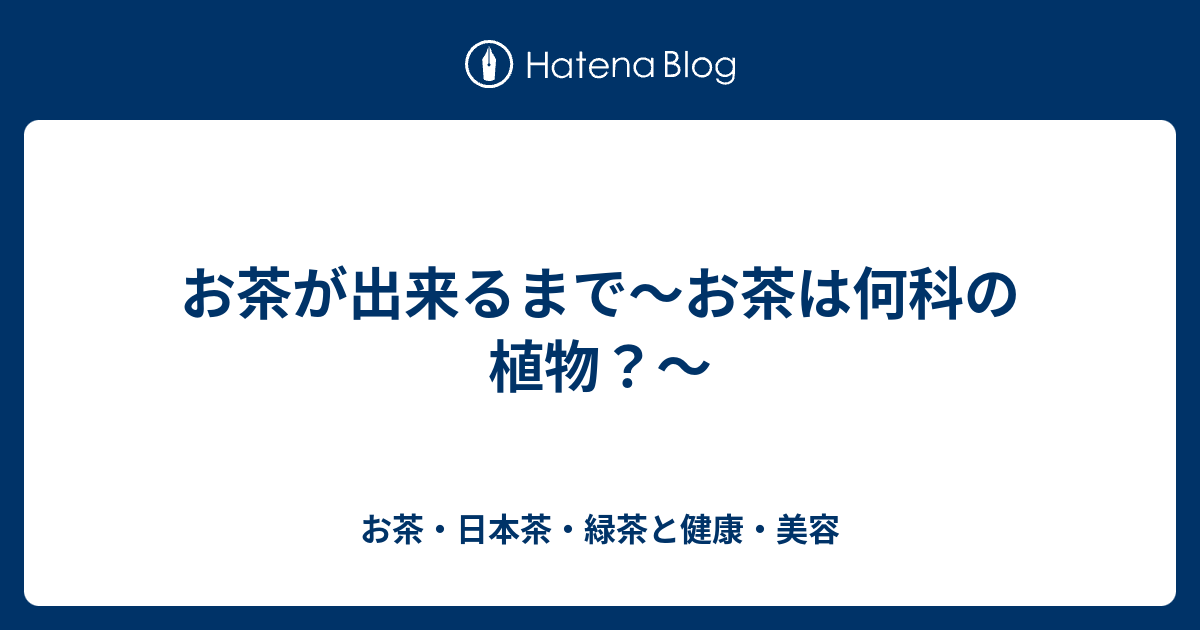 お茶が出来るまで お茶は何科の植物 お茶 日本茶 緑茶と健康 美容