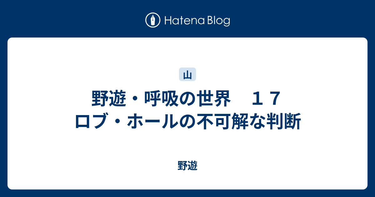 野遊 呼吸の世界 １７ ロブ ホールの不可解な判断 野遊