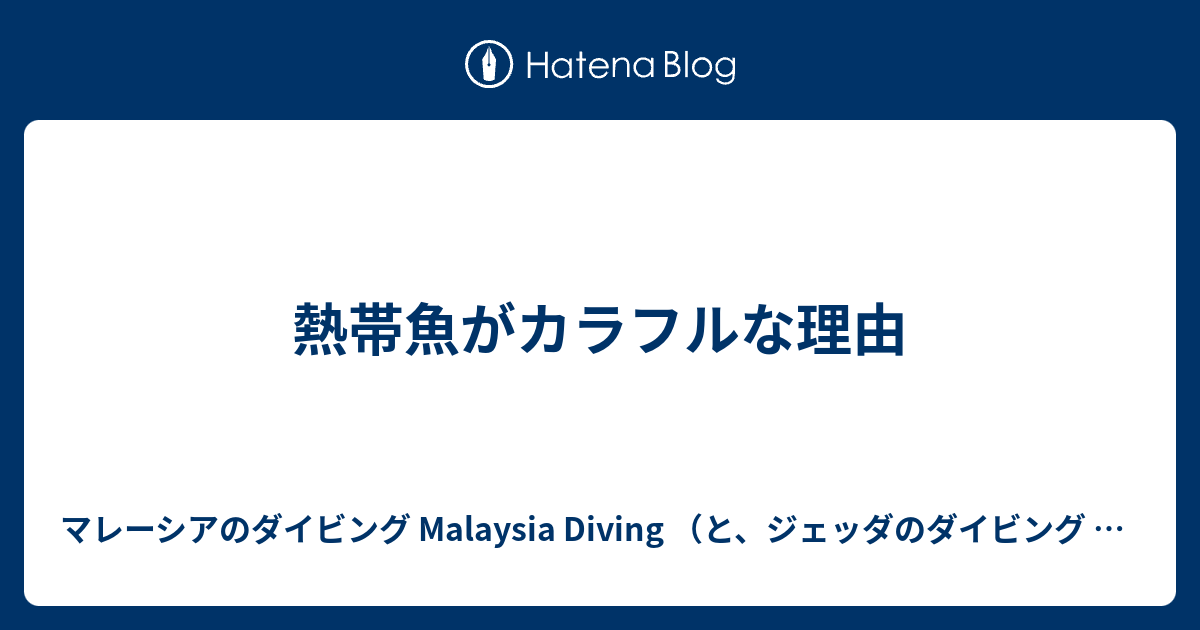 熱帯魚がカラフルな理由 マレーシアのダイビング Malaysia Diving と ジェッダのダイビング Jeddah Diving