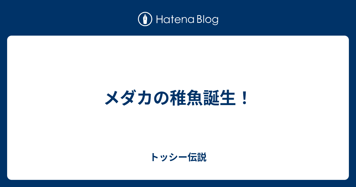 メダカの稚魚誕生 トッシー伝説