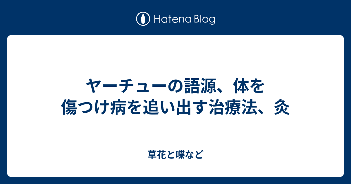 ヤーチューの語源 体を傷つけ病を追い出す治療法 灸 外国語散策