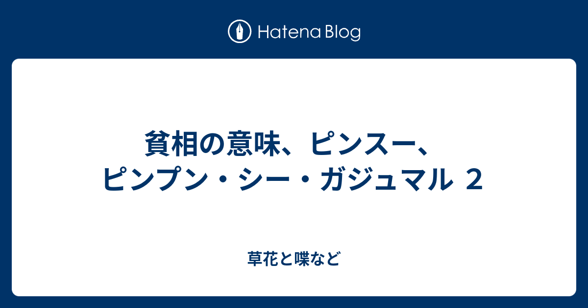 貧相の意味 ピンスー ピンプン シー ガジュマル ２ 外国語散策