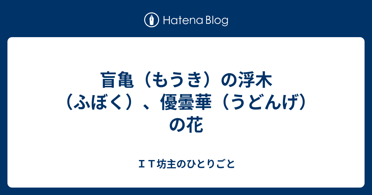 盲亀 もうき の浮木 ふぼく 優曇華 うどんげ の花 ｉｔ坊主のひとりごと