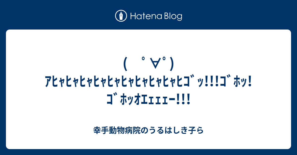 ﾟ ﾟ ｱﾋｬﾋｬﾋｬﾋｬﾋｬﾋｬﾋｬﾋｬﾋｬﾋｺﾞｯ ｺﾞﾎｯ ｺﾞﾎｯｵｴｪｪｪｰ 幸手動物病院のうるはしき子ら