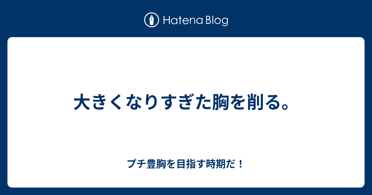 大きくなりすぎた胸を削る プチ豊胸を目指す時期だ