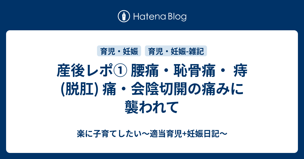 産後レポ 腰痛 恥骨痛 痔 脱肛 痛 会陰切開の痛みに襲われて 楽に子育てしたい 適当育児 妊娠日記