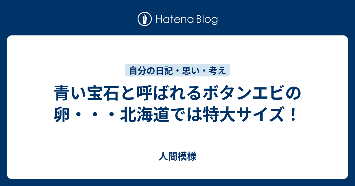 青い宝石と呼ばれるボタンエビの卵 北海道では特大サイズ 人間模様