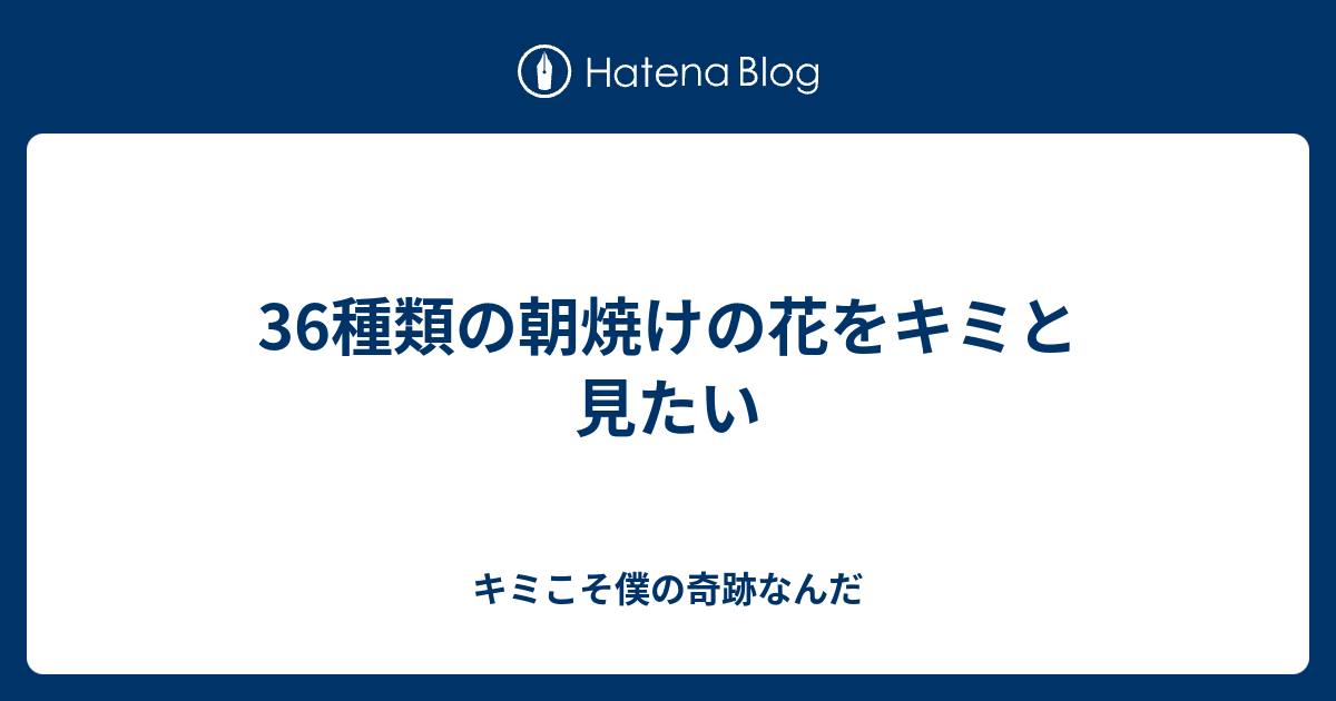 36種類の朝焼けの花をキミと見たい キミこそ僕の奇跡なんだ