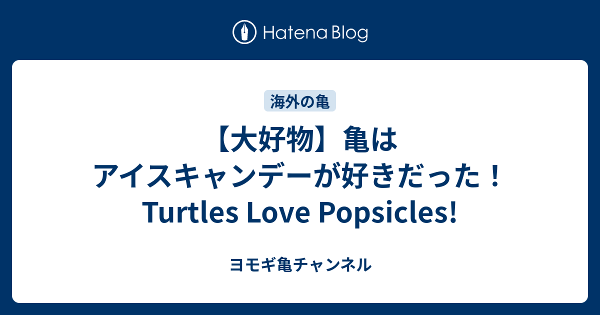 大好物 亀はアイスキャンデーが好きだった Turtles Love Popsicles ヨモギ亀チャンネル
