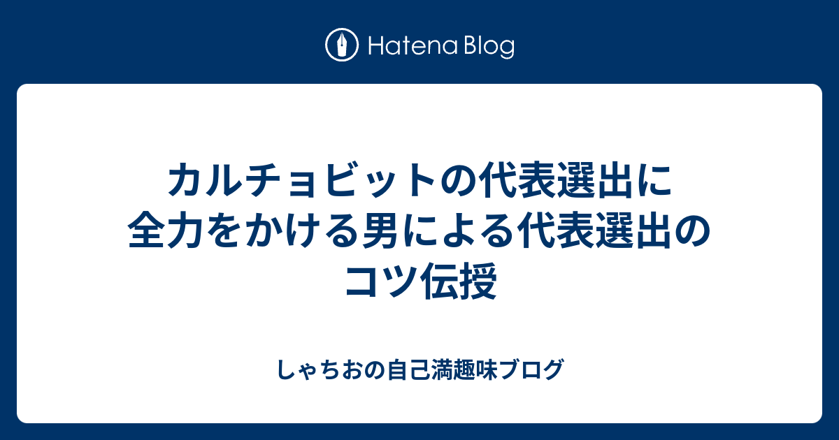 カルチョビットの代表選出に全力をかける男による代表選出のコツ伝授 しゃちおの自己満趣味ブログ