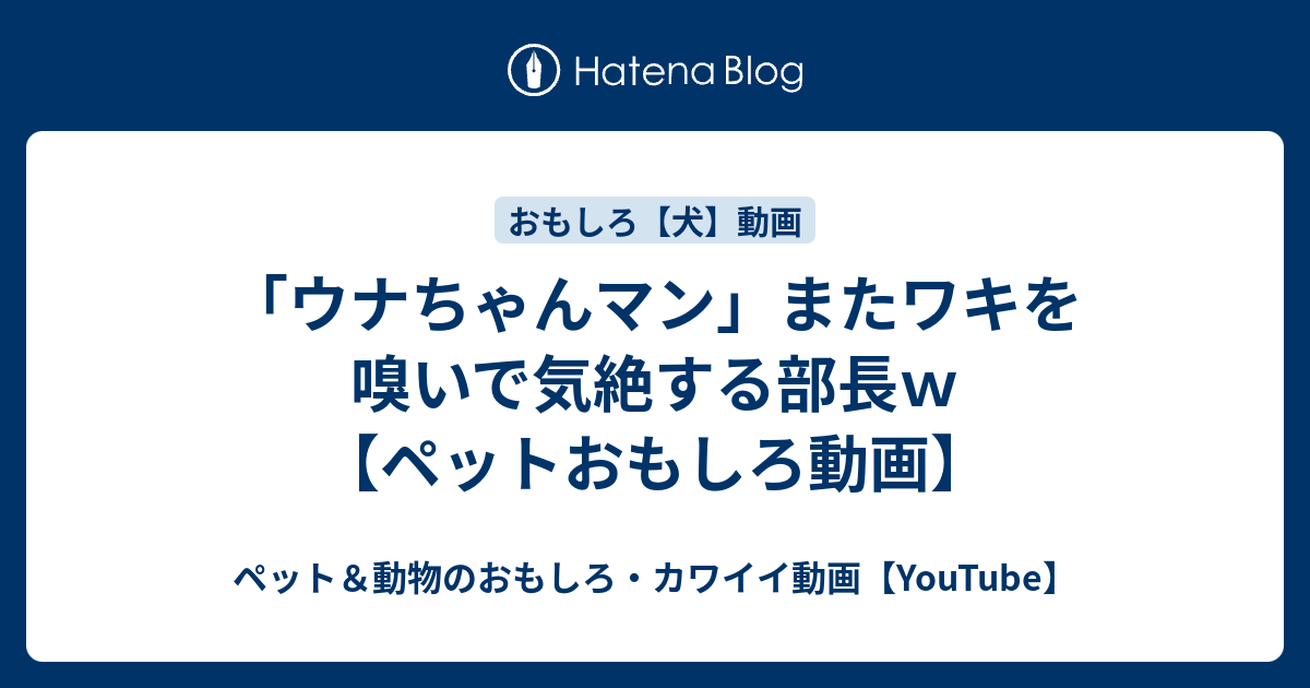 ウナちゃんマン またワキを嗅いで気絶する部長ｗ ペットおもしろ動画 ペット 動物のおもしろ カワイイ動画 Youtube