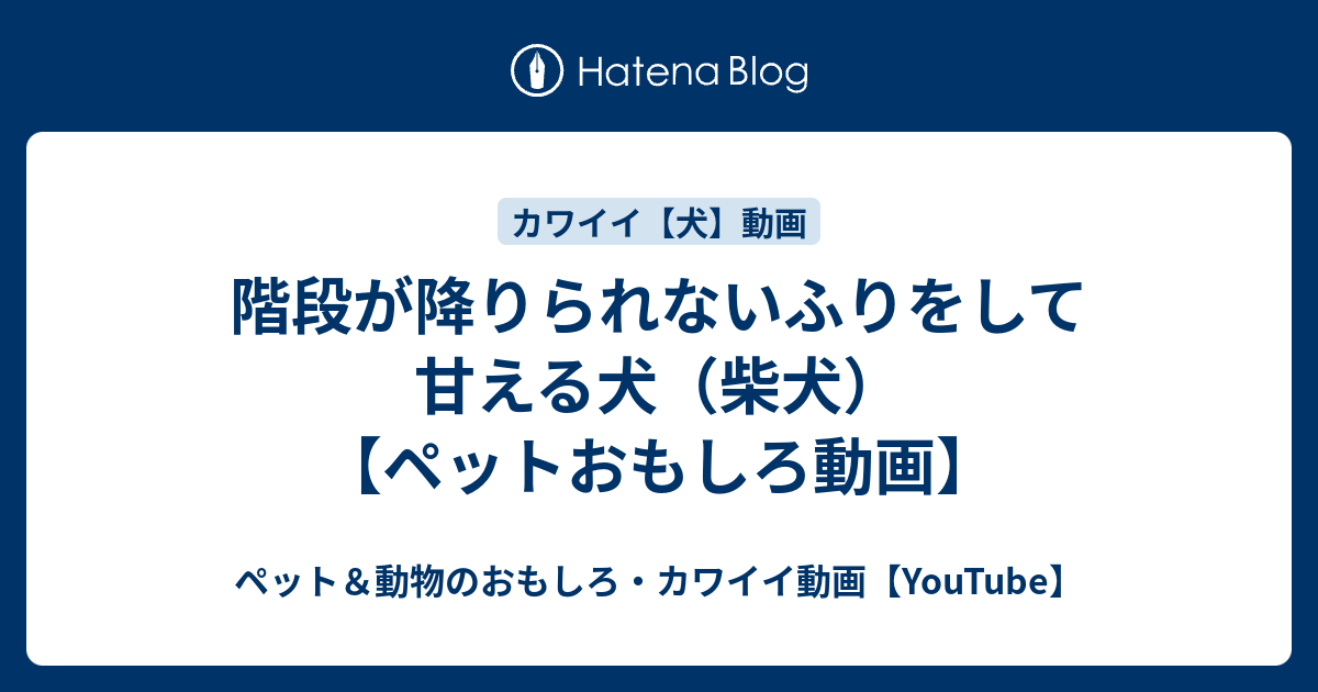 階段が降りられないふりをして甘える犬 柴犬 ペットおもしろ動画 ペット 動物のおもしろ カワイイ動画 Youtube